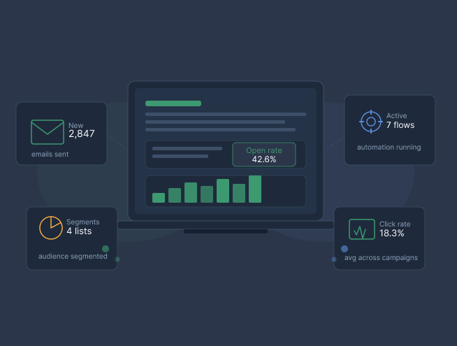 Email marketing expert in Kasaragod showing campaign stats, automation workflows and audience segmentation dashboard